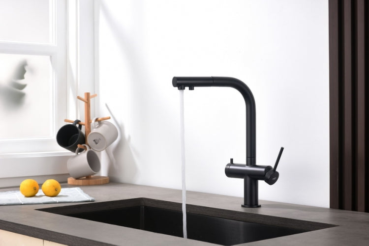 Delta Czarny mat | Blue Water | Bateria kuchenna z podłączeniem do filtra wody - 2