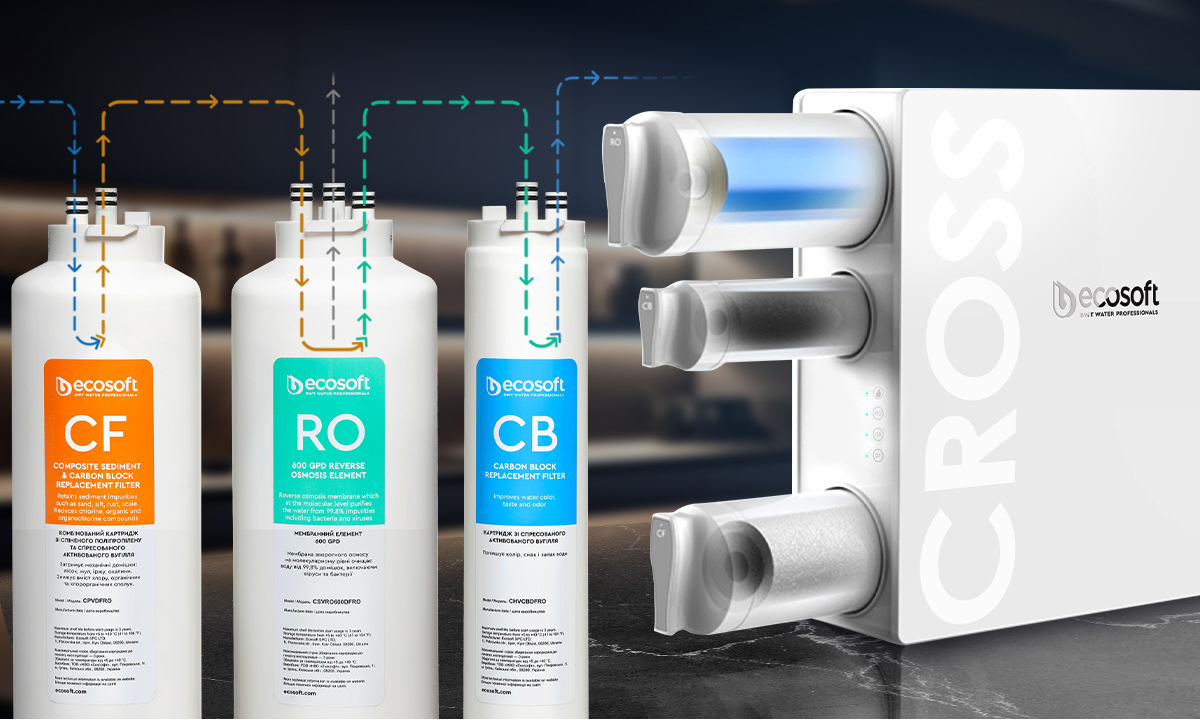 Ecosoft Cross Reverse Osmosis System