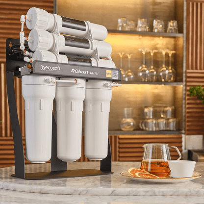 Ecosoft RObust Mini | System odwróconej osmozy - 5