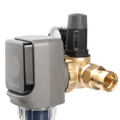 Filtr sedymentacyjny dyskowy AR1, automatyczny 3/4"-1" Ecosoft | Filtr wstępny - 13